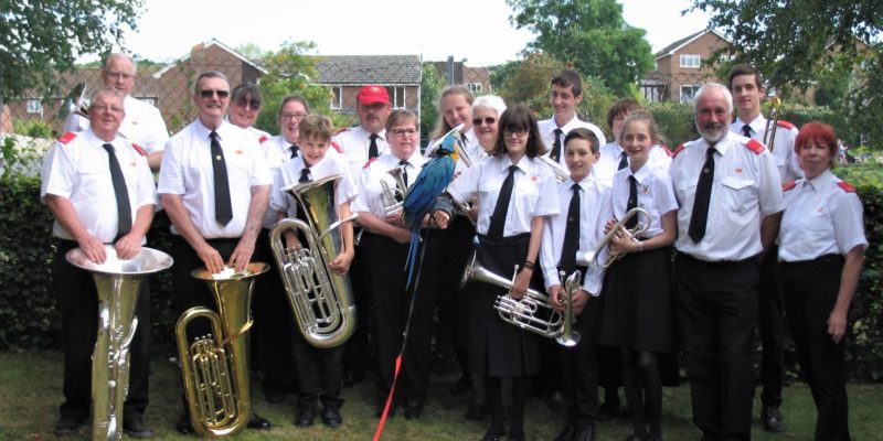 Training Band with Macaw